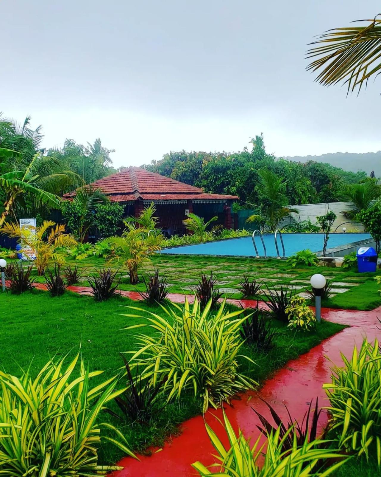 White Truffle Resort, 3* Arambol