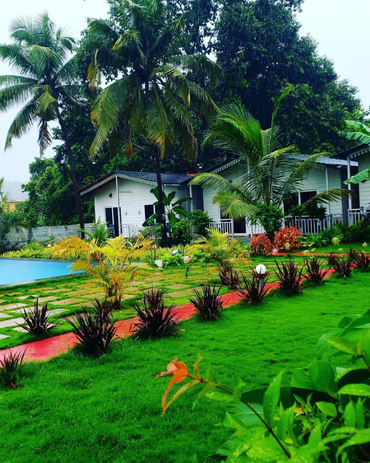 White Truffle Resort, Hotel Arambol
